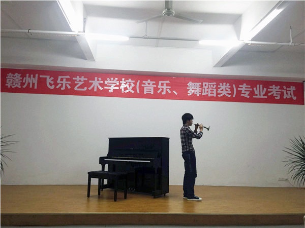 器乐观摩